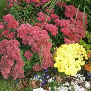 Meet your Posher, Terry